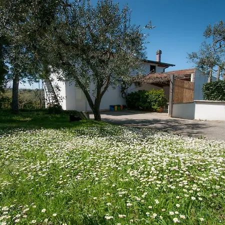 Casa Orlando *