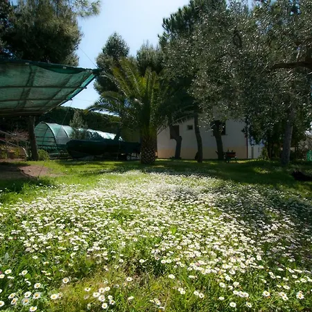 Casa Orlando * Ortona