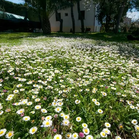 Casa Orlando Bed and Breakfast Ortona